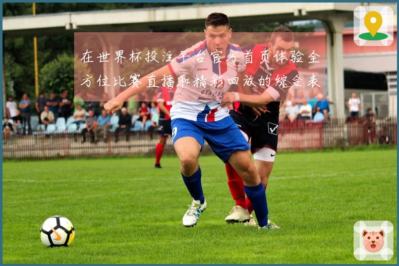 在世界杯投注平台官方首页体验全方位比赛直播和精彩回放的综合表现分析