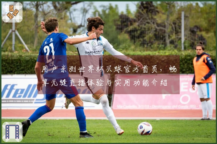 用户亲测世界杯买球官方首页，畅享无缝直播体验与实用功能介绍