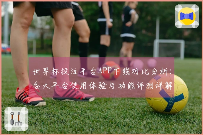 世界杯投注平台APP下载对比分析：各大平台使用体验与功能评测详解