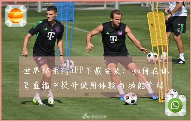 世界杯竞猜APP下载安装：如何在体育直播中提升使用体验与功能介绍