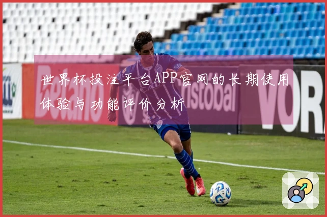 世界杯投注平台APP官网的长期使用体验与功能评价分析