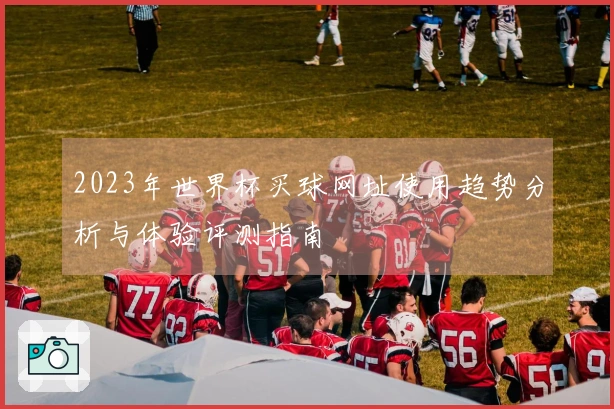 2023年世界杯买球网址使用趋势分析与体验评测指南