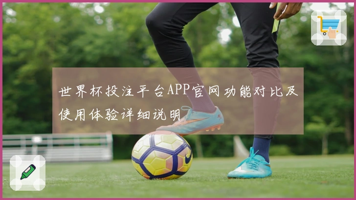 世界杯投注平台APP官网功能对比及使用体验详细说明