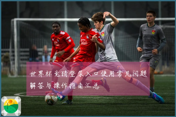 世界杯竞猜登录入口使用常见问题解答与操作指南汇总